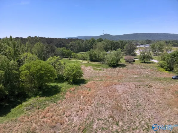 TRACT 2 Wilson Mann Rd, Owens Cross Roads, AL 35763