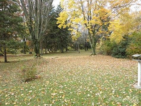An acre of wooded splendor!