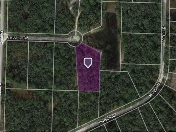 34196 CARPENTER CIRCLE, WEBSTER, FL 33597