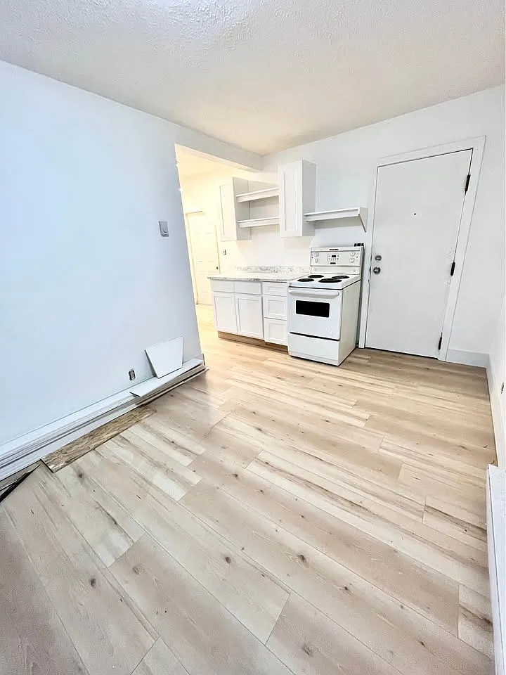 1 bed, $1,150 — Photo 2