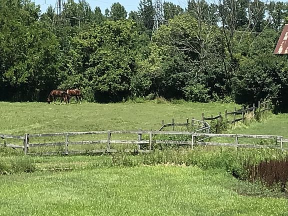View behind home. Horse pasture.