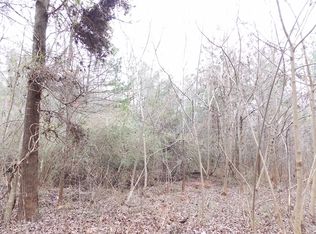 204 Spring St, Palmetto, GA 30268