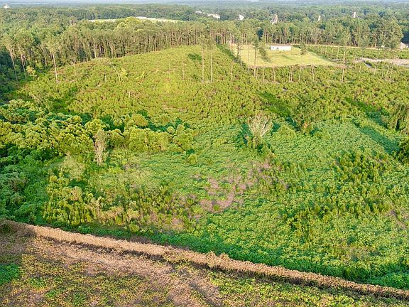 4th image of 0 Sunflower Rd Lot 7