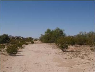 1st image of 10564 N Little Wind Way