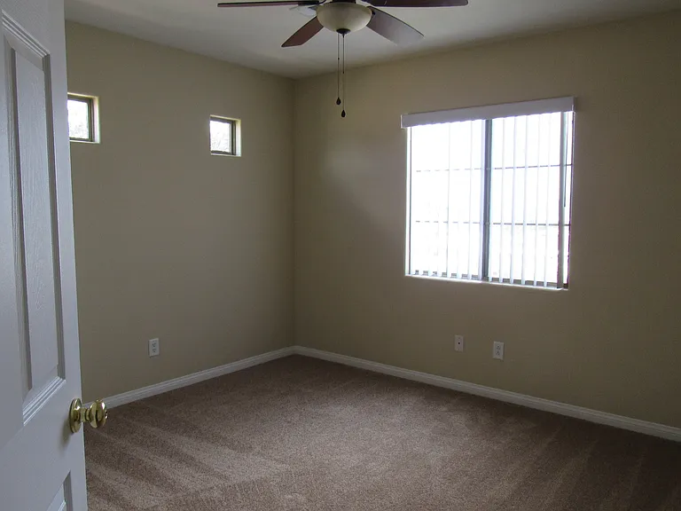 389 Red Eucalyptus Dr — Photo 23