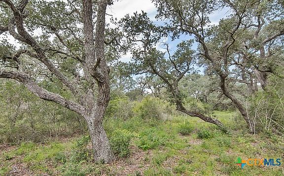5th image of TRACT 10 Private Road 4061
