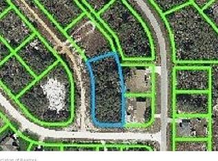 2910 W Gordon Rd, Avon Park, FL 33825