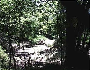 2nd image of 39 Rr 2