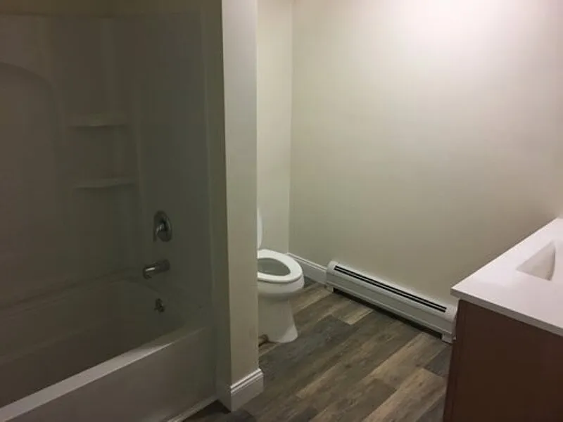 3 bed, 1.0 bath, $3,000 — Photo 3