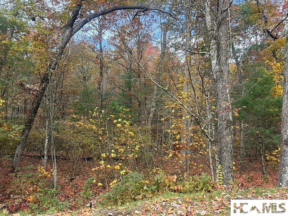 2nd image of LT 9 Norton Ridge Lane