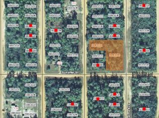 0 Selma Ave LOT 19, Interlachen, FL 32148