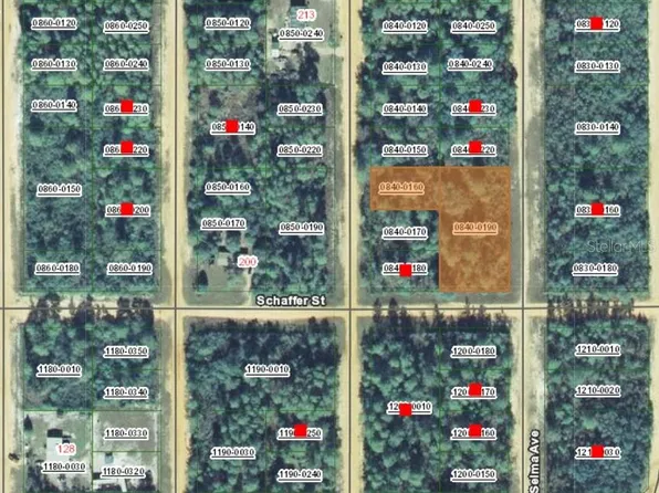 0 Selma Ave Lot 19, Interlachen, FL 32148