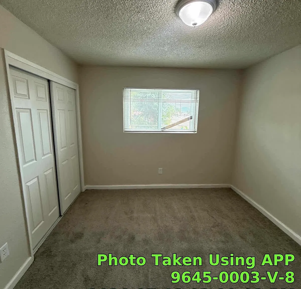 2 bed, $1,150 — Photo 4