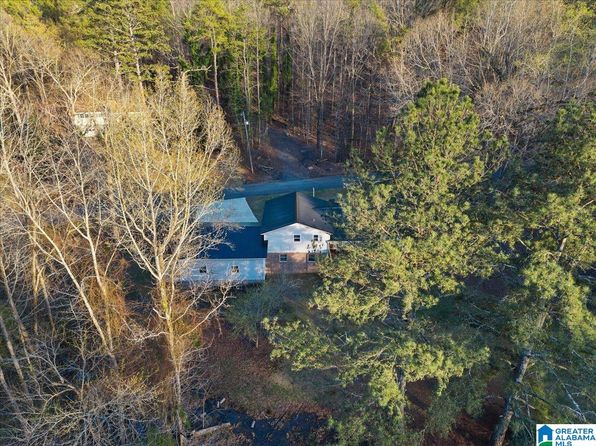 236 Oak Ridge Dr, Oneonta, AL 35121