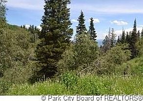 1st image of 2126 Aspen Cir