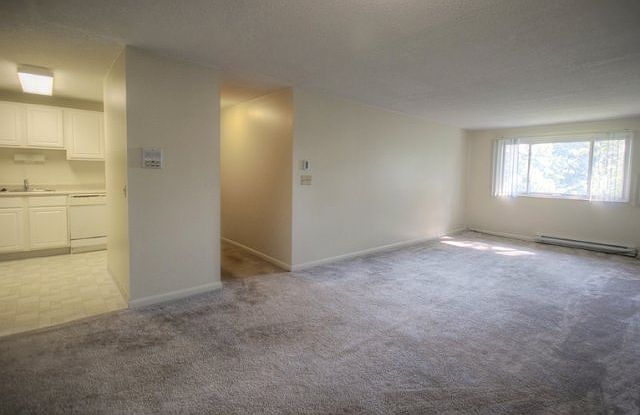 Large Living Areas