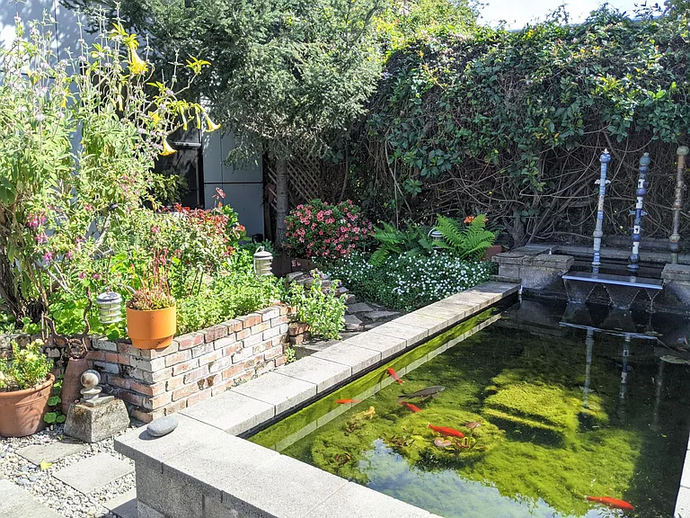 Koi pond in courtyard