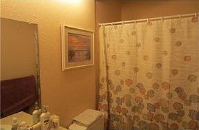 5th image of 3931 Chamberlain Dr