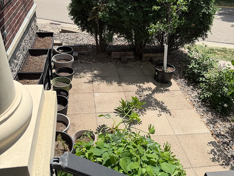 8102 Golden Valley Rd — Photo 32