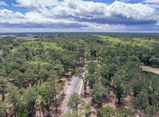 41 Inkberry St, Bluffton, SC 29910