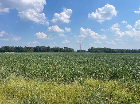 Off Of Red Oak Rd LOT WP002, Whitakers, NC 27891