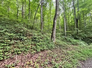 19 Burnt Leaf Ln, Hayesville, NC 28904