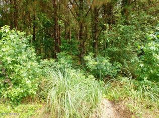 151 Rivenbark Town Rd, Wallace, NC 28466