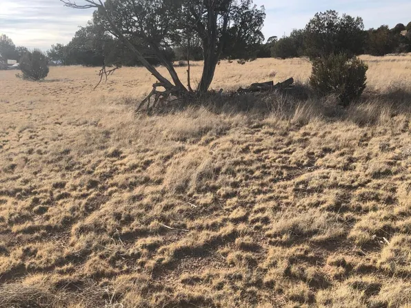 2120 N Forest Line Rd, Williams, AZ 86046