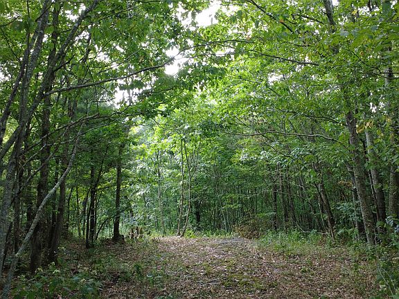 3rd image of 25 Fowler Road