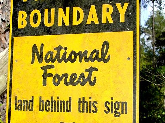 5th image of Forest 2 Rd