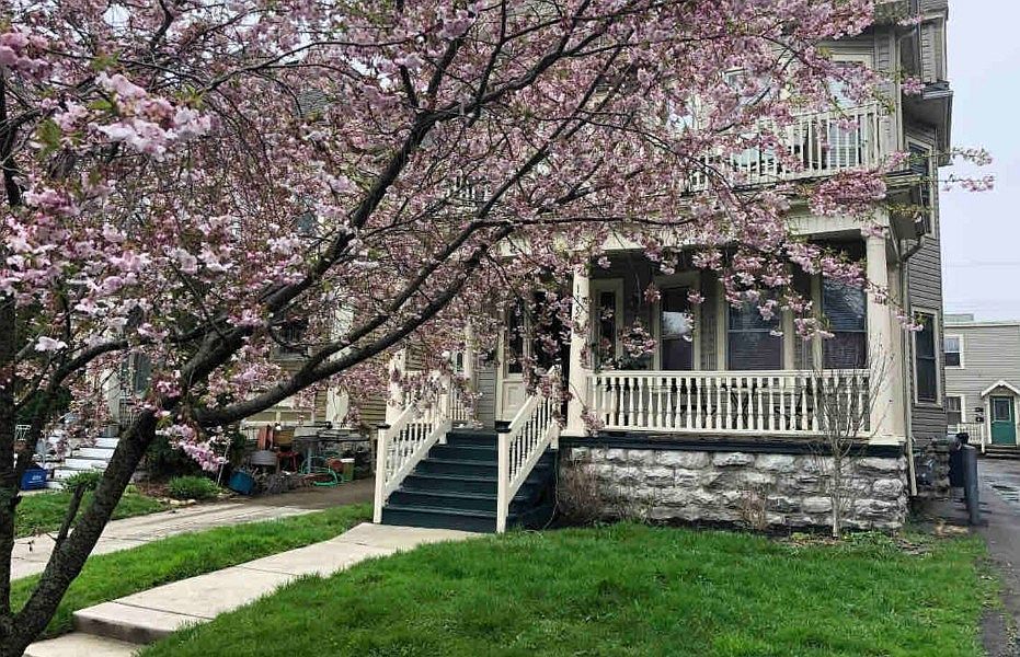 1st image of 115 Claremont Ave APT 2
