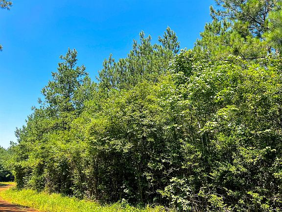 5th image of Lick Skillet Rd