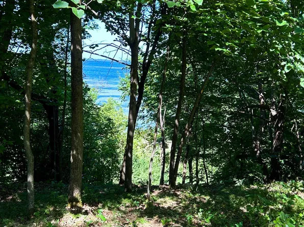 49137 360th St, New York Mills, MN 56567