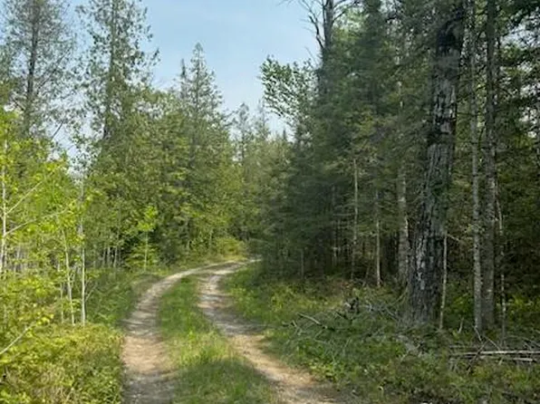 W M 134 Hwy, Hessel, MI 49745