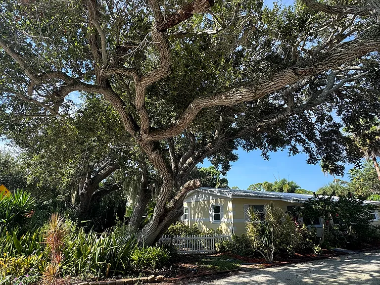 1557 S Banana River Dr — Photo 21
