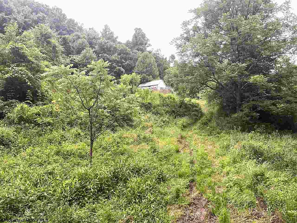 2356 Cove Lick Rd, Weston, WV 26452 Zillow