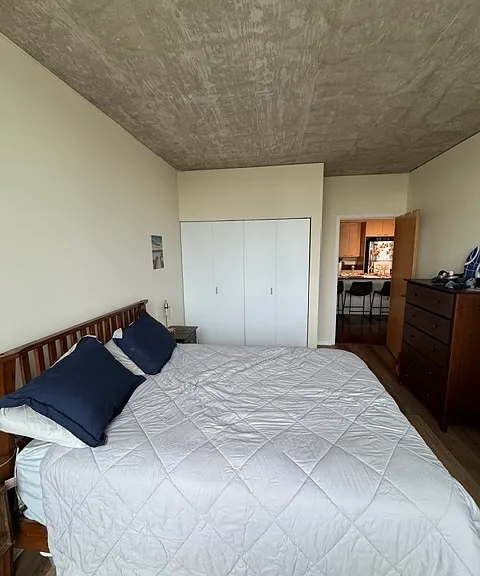 1845 S Michigan Ave #1609 — Photo 20