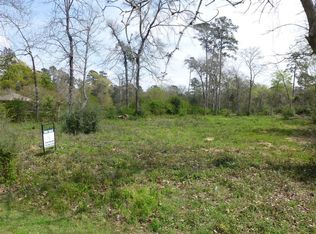 31911 Debbi Ln, Magnolia, TX 77355