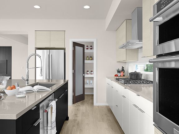 Interior Image From The Iris
