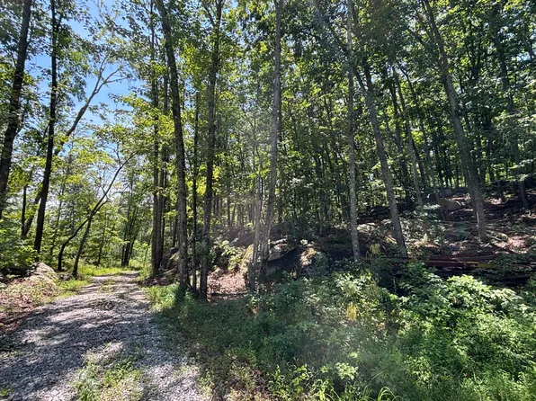 0 Lee Rd, Pikeville, TN 37367
