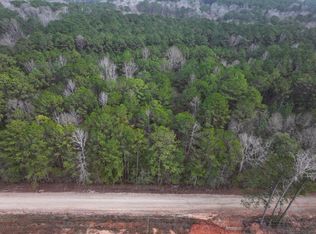 LOT 3 Silva Dr, Hamilton, GA 31811