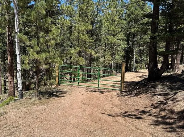 305 & 281 Midnight Ln, Florissant, CO 80816