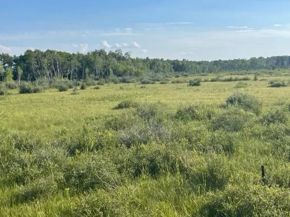 149th Ave, Menahga, MN 56464