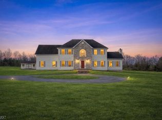 6 Tamzen Ter, Washington Twp., NJ 07882