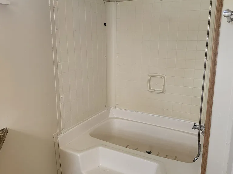 Shower in master bath