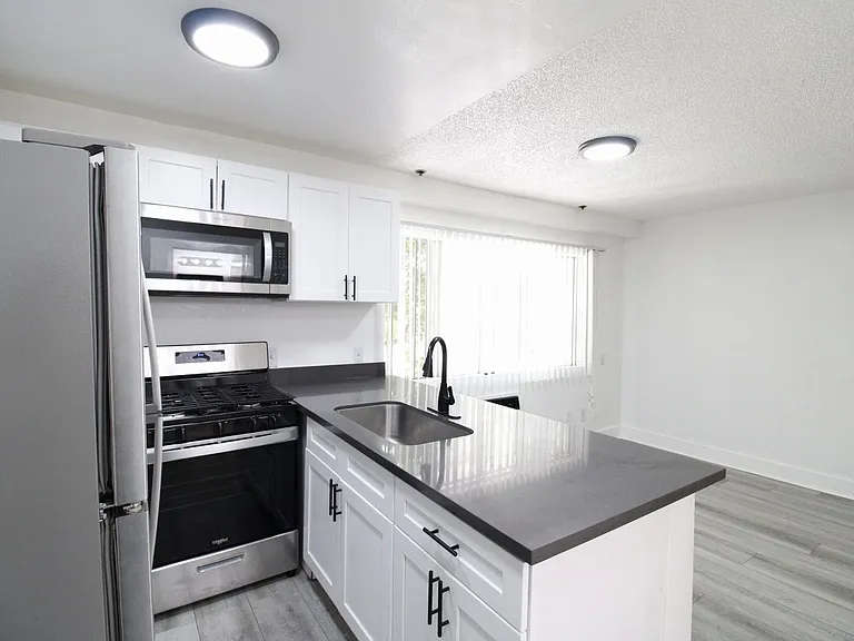 Electro Apartments - WSP 833 Berendo LLC — Photo 7