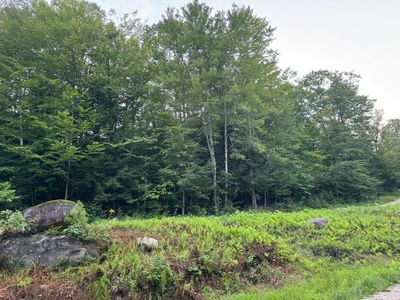 Lot 54-2 Jack Rabbit Run, Fryeburg, ME, 04037