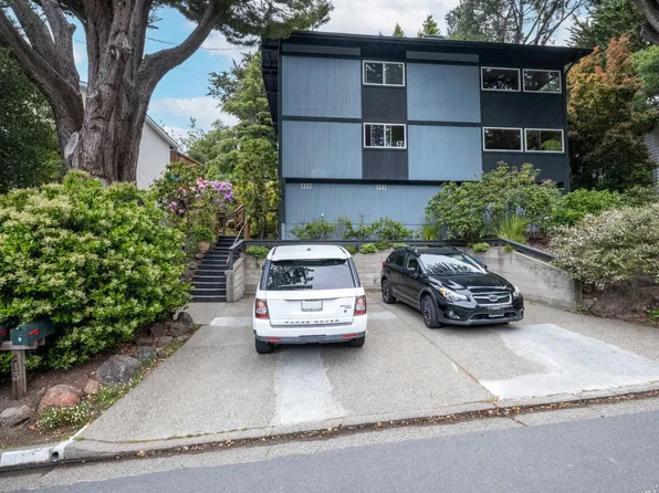 113 Belvedere Drive, Mill Valley, CA 94941
