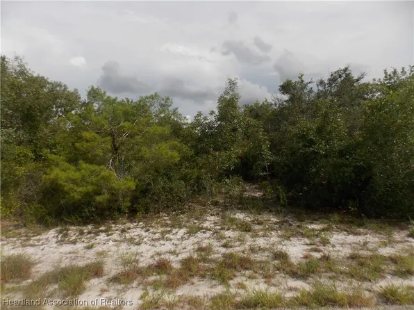 116 Pear Ave NW, Lake Placid, FL 33852