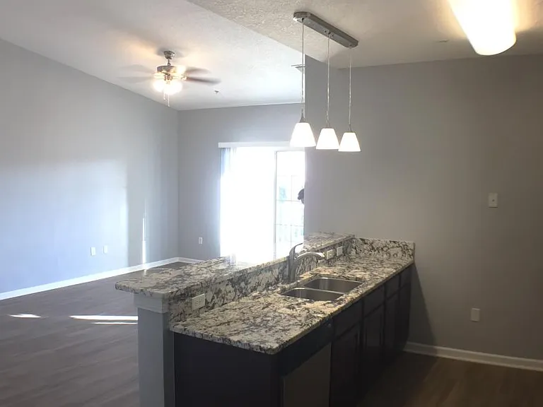 Kitchen & Great Room